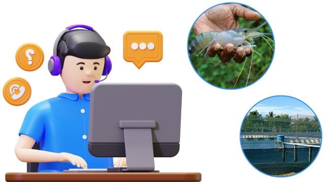 Tại Sao Hỗ Trợ Kỹ Thuật Lại Là Yếu Tố Quyết Định Thành Công Vụ Nuôi?