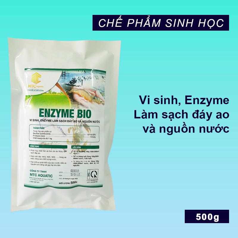 ENZYME BIO