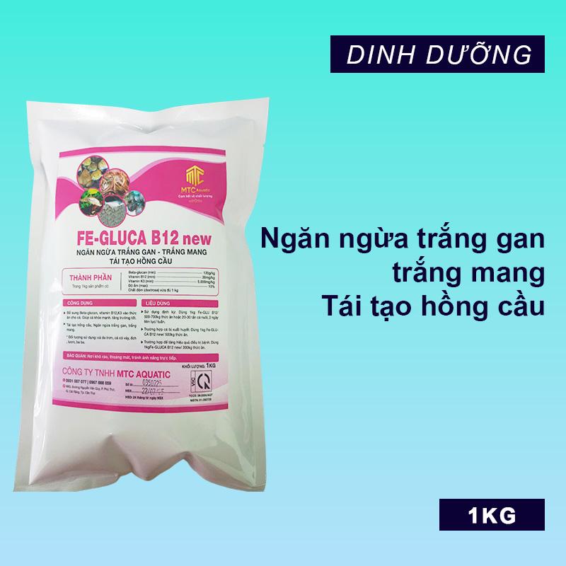Fe-GLUCA B12 new